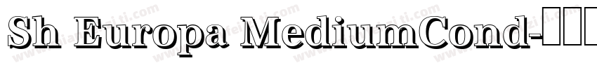 Sh Europa MediumCond字体转换
